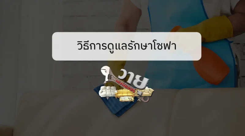 วิธีการดูแลรักษาโซฟา