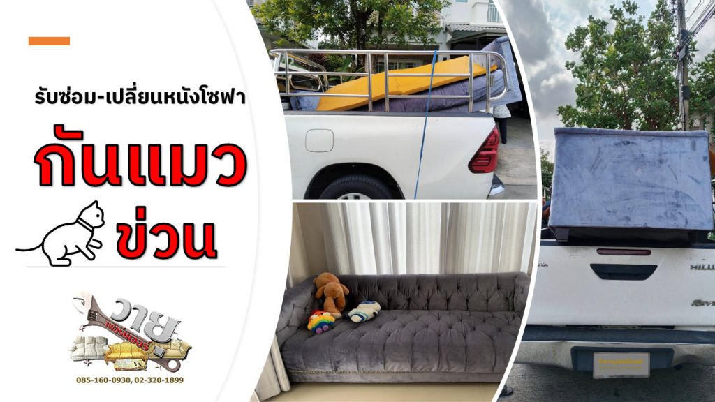 ซ่อมโซฟาป้องกันแมวข่วน