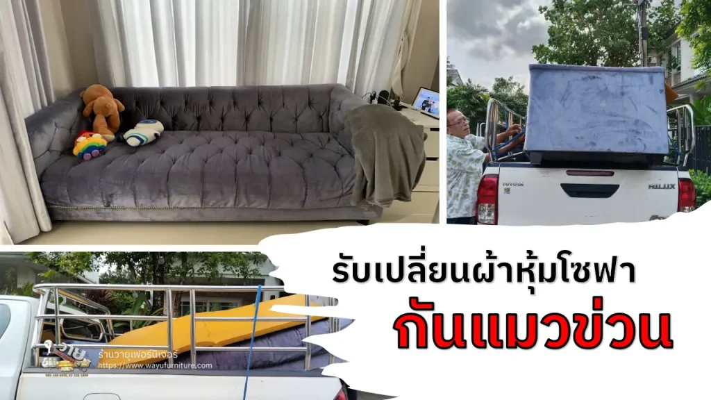 เปลี่ยนผ้าหุ้มโซฟากันแมวข่วน