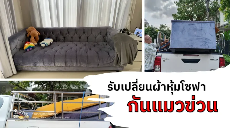 เปลี่ยนผ้าหุ้มโซฟากันแมวข่วน